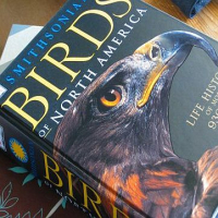 Birding Books & Field Guides